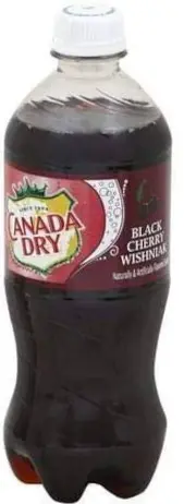 Canada Dry Black Cherry Wishniak 24-20 Oz
