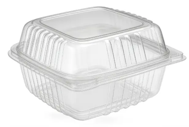 CLH6 6'' Hinged Container