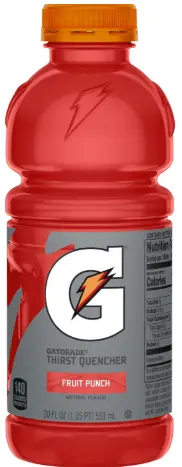 Gatorade Fruit Punch 20 Oz