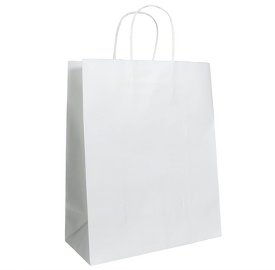 HANDLE BAG10x5x13 250 CT
