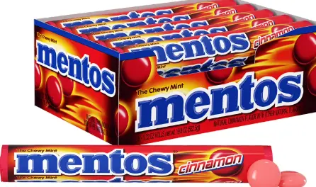 Mentos Cinnamon 15-1.32oz