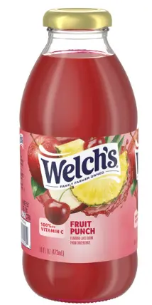 Welch's 16 Oz - Fruit Punch