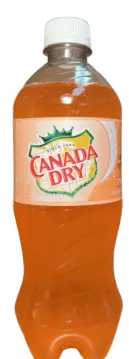 Canada Dry Peach 24-20 Oz