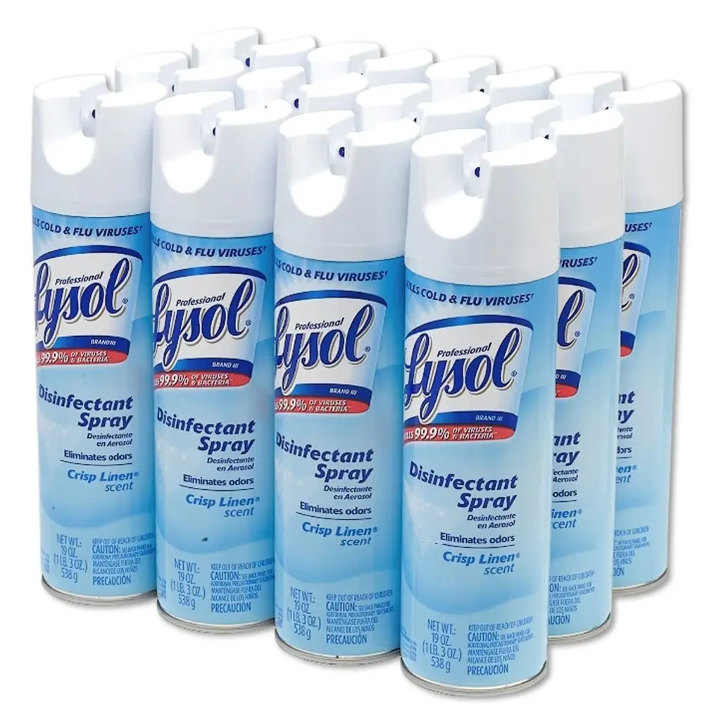 Lysol 12-19 Oz Case