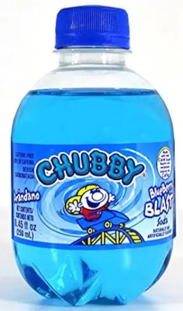 Chubby Blueberry 24-8.45 Oz