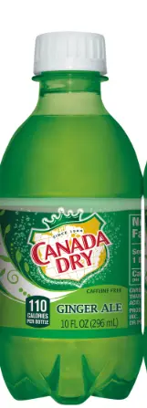 Canada dry ginger ale 24-10oz