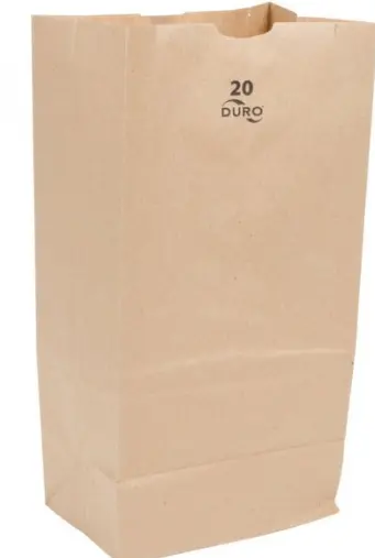 BROWN PAPER BAG #20 500CT