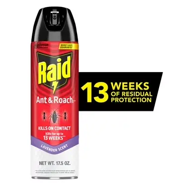 Raid ant & Roach killer 17.5 oz 