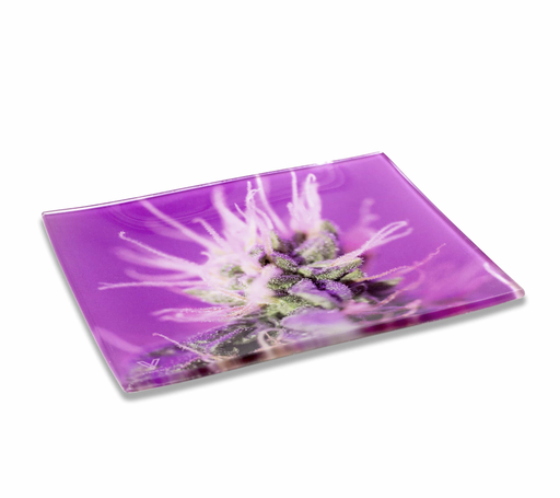 V SYNDICATE GLASS ROLLING TRAY