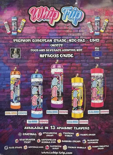 WHIP TRIP NITROUS OXIDE CREAM CHARGER 3000G 1PCS