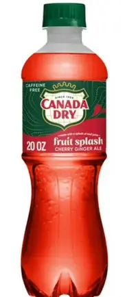 [Canada Dry - 20 Oz Fruit Splash] Canada Dry - 20 Oz Fruit Splash