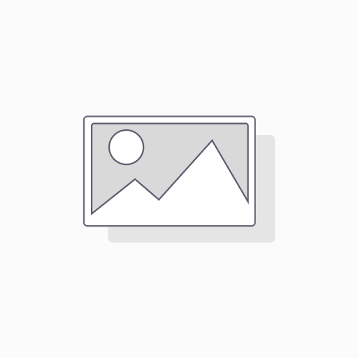 Silicone WP Street Art