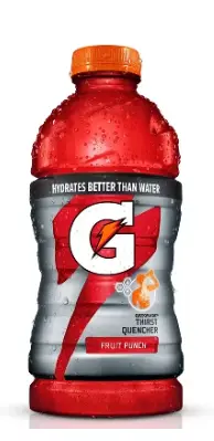 GATORADE FRUIT PUNCH 28OZ